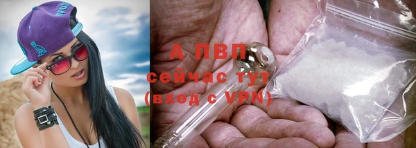 молекула духа Волоколамск