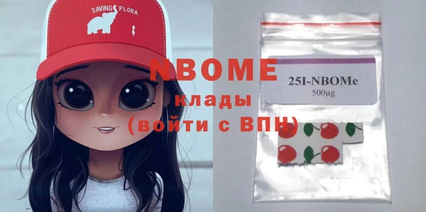 молекула духа Волоколамск